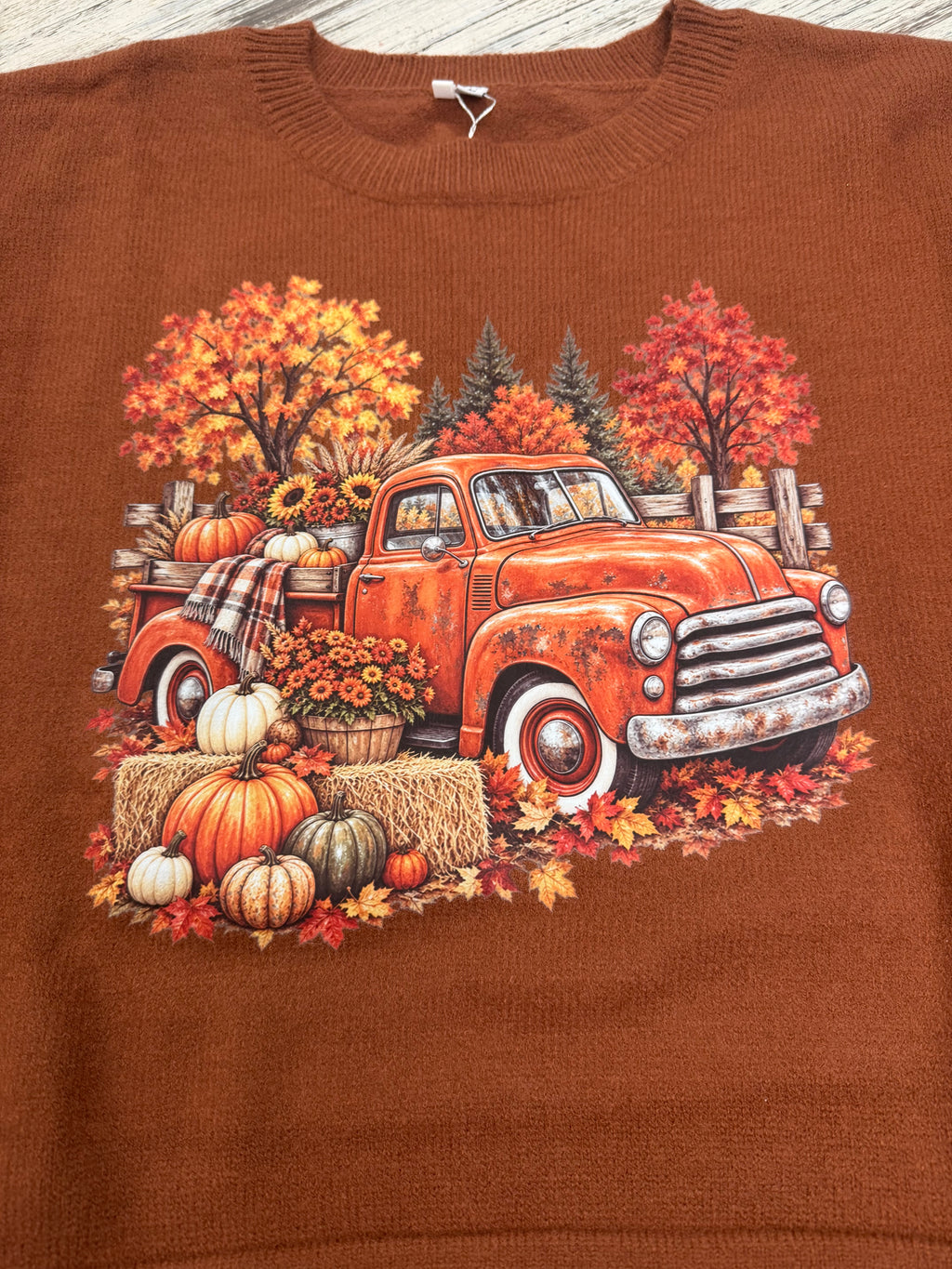 Fall Themed Flare Sleeve Knit Sweater